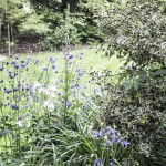 nature-jardin-songes-strueth-sundgau-2015-marie-colette-becker-13