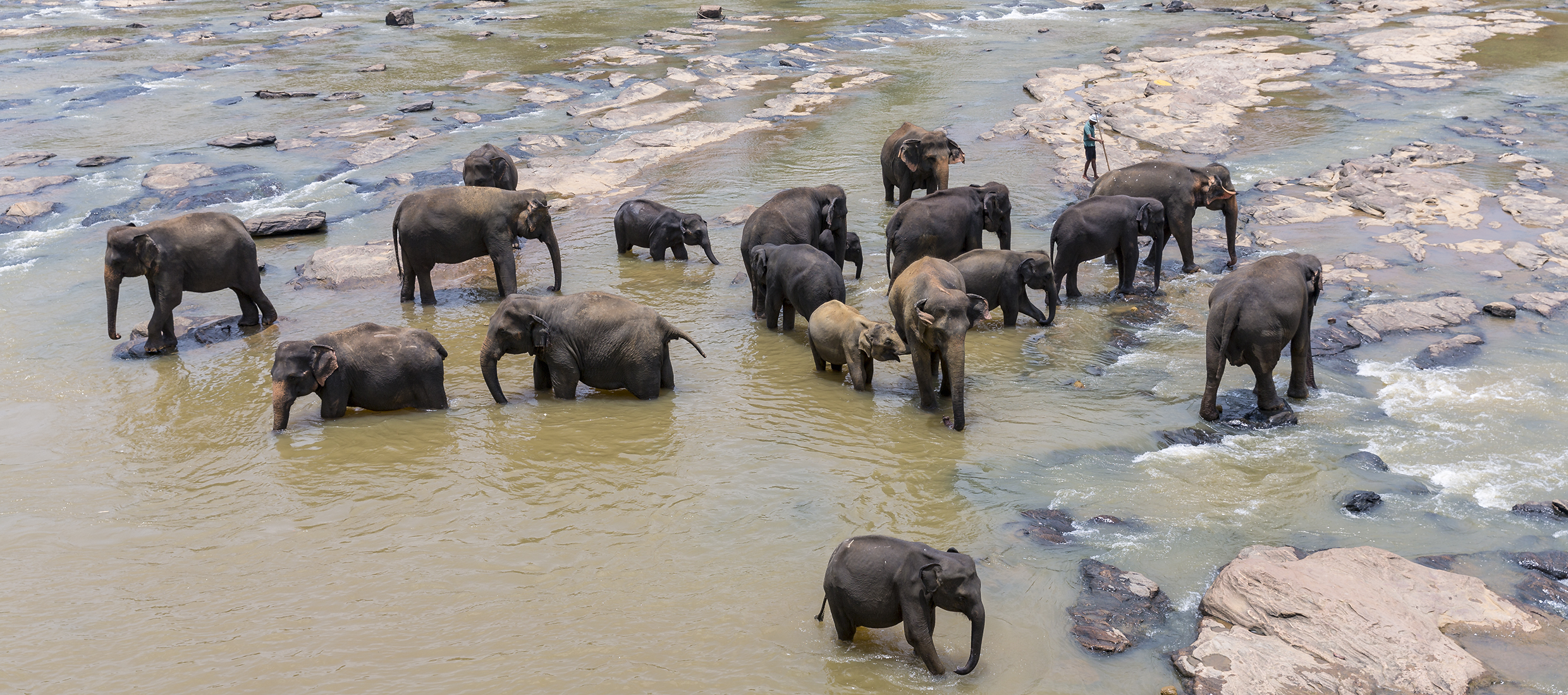 Sri-Lanka-orphelinat-elephants-2017-Marie-Colette-Becker_01