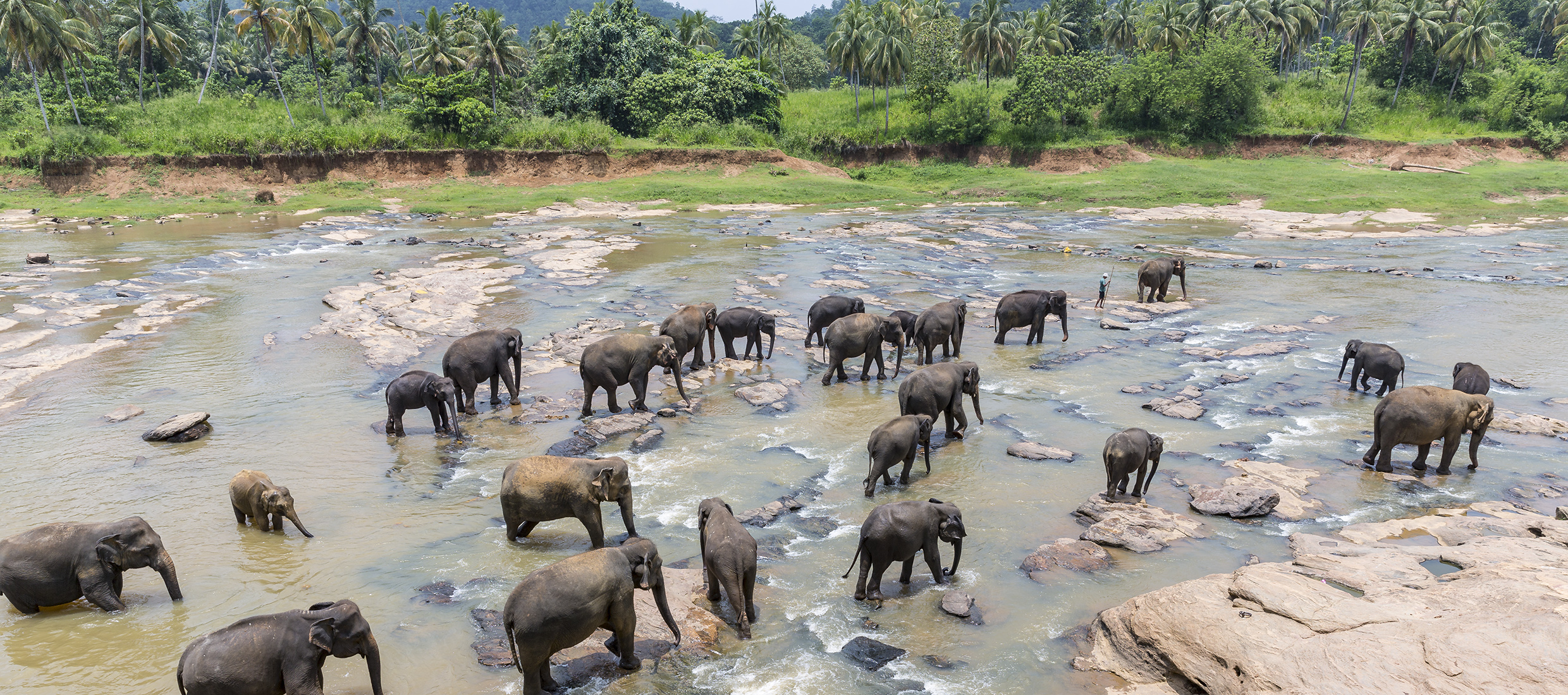 Sri-Lanka-orphelinat-elephants-2017-Marie-Colette-Becker_02