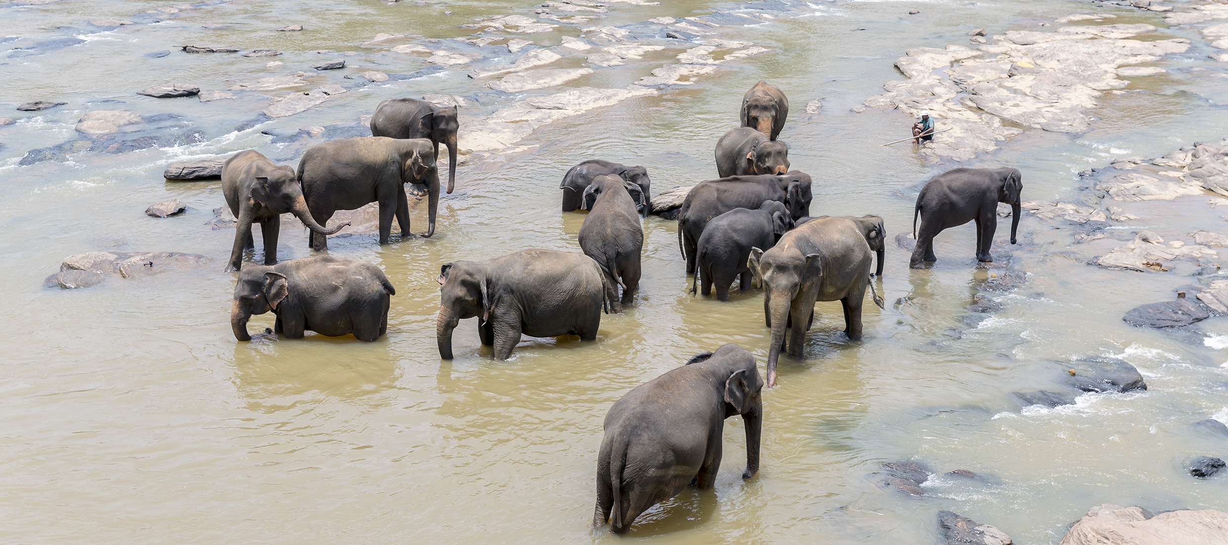 Sri-Lanka-orphelinat-elephants-2017-Marie-Colette-Becker_09
